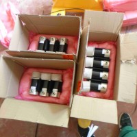 德国Phytron BASIC10015172ZMX+ 32电机型号介绍