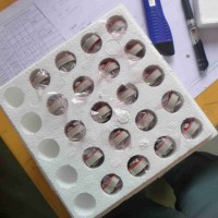 FAULHABER BX4 SC系列无刷直流伺服电机用于实验室技术