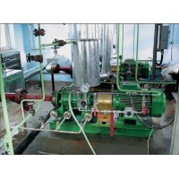 德国dickow pumpen API 610泵