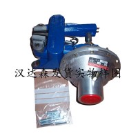 R&H雷肖登350.090.01产品应用