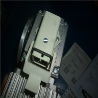　意大利Mini motor减速电机优势介绍原厂供应