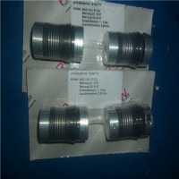 原装进口R+W联轴器LKP