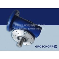 GROSCHOPP电机NR 8572345