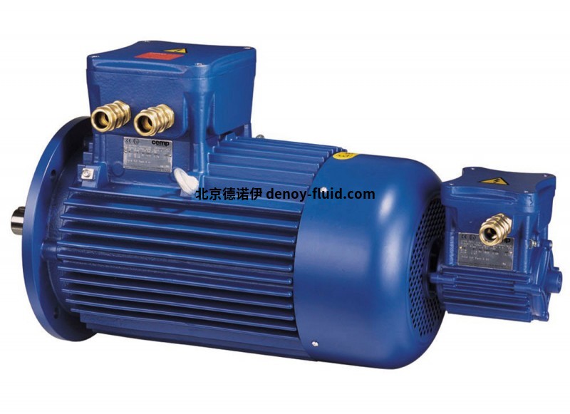 CEMP-Motor-1
