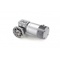 意大利 Mini Motor MCC系列 蜗轮电机