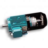 Brook Crompton电机w-EF315SN直供