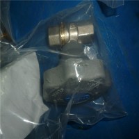 德国Riegler压力表FDP.11 E5-778.85