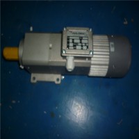意大利Mini motor 减速电机PACE12MP3N