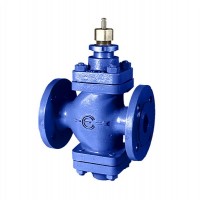 Controlli平衡二通截止阀2FAA150B
