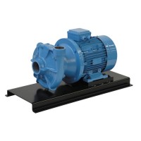 GMP PUMPS 离心泵 B11/2TRL 1,5 千瓦 意大利制造