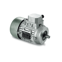 意大利nerimotori DP180M三相电机