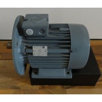 VEM制动电机IE2-WE1R 112 MX2