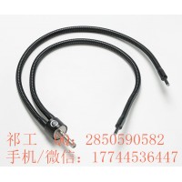 Schott光纤导光器KL