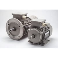 AC-Motoren中高压电机 FCMP160系列