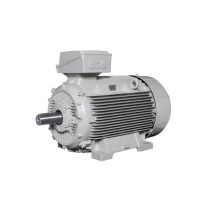 Lammers防爆电机 1TZ9002-0BA6效率等级：IE2、IE3