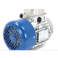 M.T. Motori TF 系列三相自制动电机交直流制动器