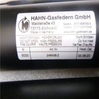 德国Hahn Gasfedern不锈钢拉伸弹簧G08-19ST-28995国内现货