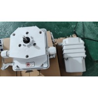 Stromag51_75_BM0Z_498辅助电流变速箱凸轮终端开关